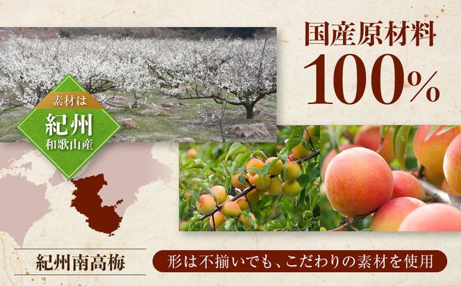 ご家庭用 大容量 紀州南高梅 つぶれ梅 うす塩としそ漬の詰合せ 550g×2［YM17］ 303446_DX90020