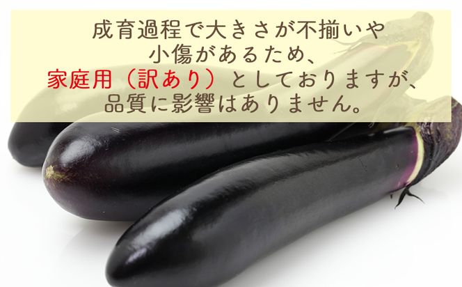 【2025年10月中旬以降発送】長なす ３ｋｇ 家庭用 yr-0072