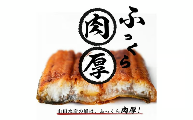 【志布志市人気No.1お礼の品】霧島湧水鰻の蒲焼き 140g以上×2尾＜計280g以上＞ a1-157