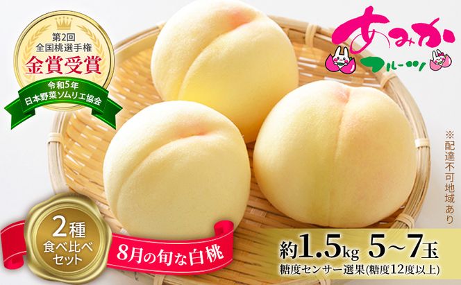 桃 2026年 先行予約 8月の旬な白桃【2種】 食べ比べ セット 約1.5kg 5～7玉 糖度センサー選果 糖度12度以上 あみかフルーツ 白桃 岡山