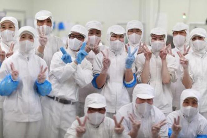 BJ015 岩崎本舗 【3回定期便】長崎角煮まんじゅう 12個入 (袋) [長崎県 島原市]