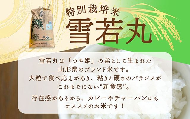 石垣農園の特別栽培米 雪若丸 10kg 5kg×2袋 令和7年産 2025年産 ブランド米 コシヒカリの原点、亀の尾発祥の地 庄内【1122-034I】