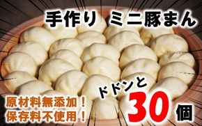 豚まん職人手作りの「ミニ豚まん30個」_1489R