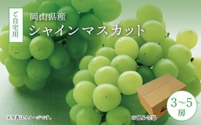 真庭市産 シャインマスカット 自宅用 3～5房 2kg / (2026年9月中旬以降発送予定) ぶどう 岡山 真庭 大粒 葡萄 果物 フルーツ ブドウ シャインマスカット 人気 数量限定 ご家庭用 皮ごと マスカット 産地直送 お買い得 新鮮 数量限定 岡山名産 定番 【配送不可地域：北海道／沖縄県／離島】【jujy005-02】