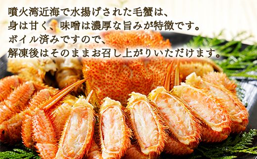 【順次発送】北海道産 ボイル毛蟹 約1kg（500g前後×2尾）蟹 カニ 冷凍 