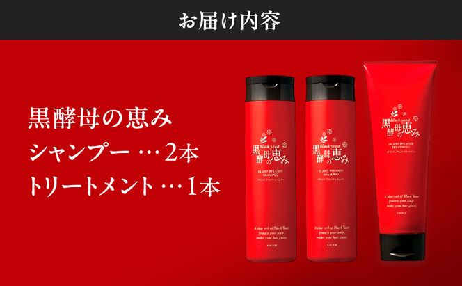 黒酵母の恵み シャンプー 2本＆ トリートメント 1本 ヘアケア 美容 コスメ 送料無料 アミノ酸 