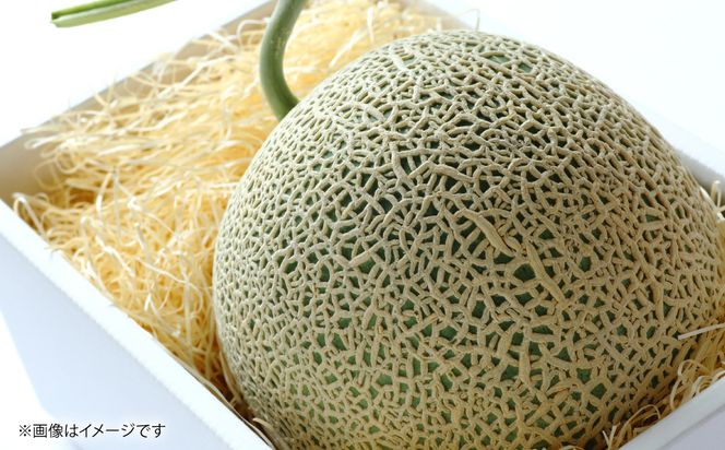 肥後グリーン 2玉 4L以上（合計4kg以上）メロン 果物 果実 くだもの フルーツ 熊本県 八代市