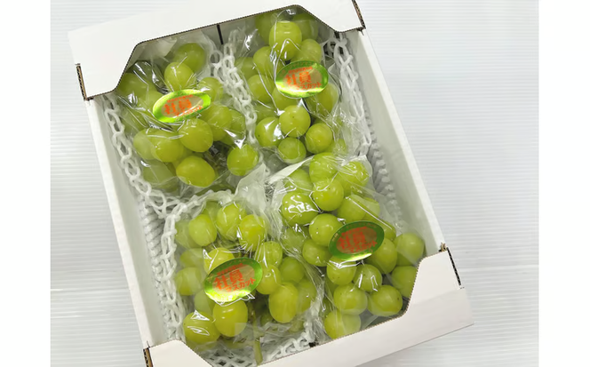 【2026年先行予約】訳ありだけど、甘～いシャインマスカット/約2kg (岡山県産) 【KF-B020-03】