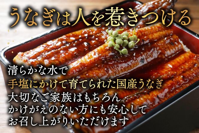 （6月発送）国産　特大　特上うなぎ 2尾 合計 380g 以上【OT000O190_006】