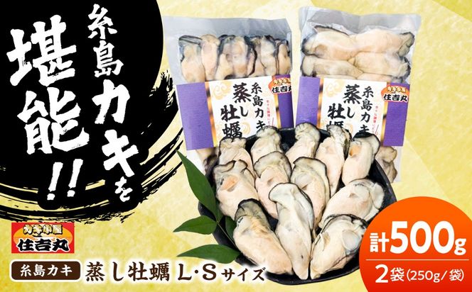 糸島カキ 蒸し牡蠣 Lサイズ・Sサイズ 500gセット 糸島市 / カキ小屋 住吉丸[ACJ017]