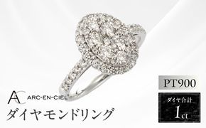 J003-4 ARC-EN-CIEL プラチナ ダイヤリング（計 1.0ct）【鑑別書付き ジュエリー プレゼント ギフト ファッション アクセサリー 贈り物 贈答 お祝い 記念日】