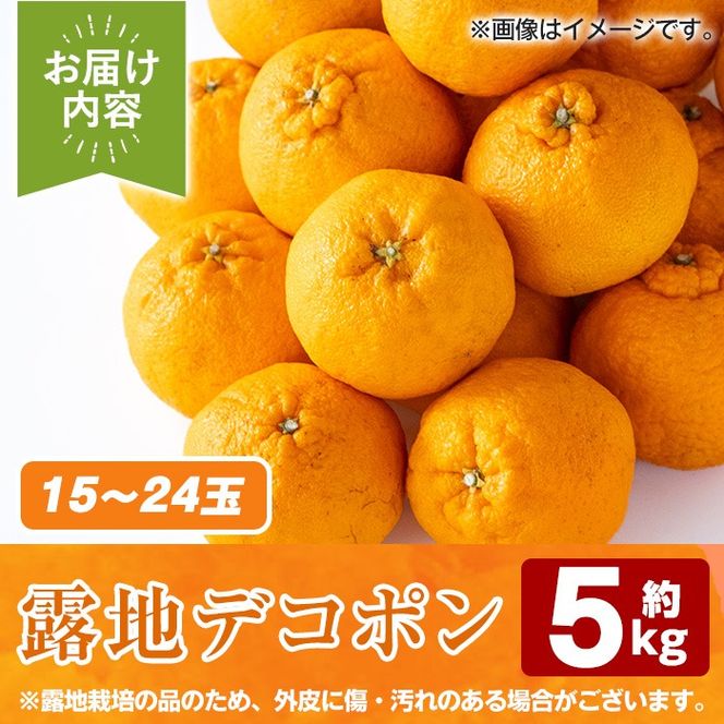 ＜先行予約受付中！2026年3月以降順次発送予定＞鹿児島県産！露地デコポン(約5kg・15～24玉) 果物 冬 春 柑橘 みかん 蜜柑 フルーツ 期間限定 数量限定【鹿児島いずみ農業協同組合】akn018-10