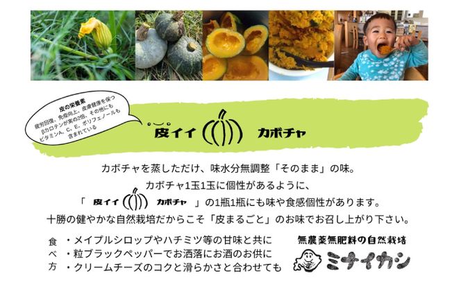 自然栽培かぼちゃをマッシュした「ミナイカシの皮イイカボチャ」110g×6 野菜 根菜 野菜加工品 南瓜 