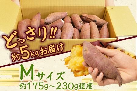 ＜数量限定！ 国富町産 熟成紅はるか 約5kg＞翌月末迄に順次出荷【a0611_mf】