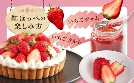 【先行受付】糸島産 紅ほっぺ 800-900g 糸島市 / 平山農園【2026年1月上旬以降順次発送】[AXN001] いちご 苺 イチゴ 紅ほっぺ べにほっぺ フルーツ 果物 旬 期間限定 大粒