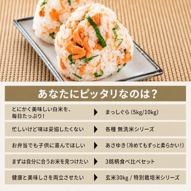 先行予約 令和8年産 あさゆき 白米 5kg [H.GREENWORK] 青森県 鰺ヶ沢産 / お米 精米 希少米 もっちり 津軽