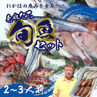 鮮魚 冷蔵 クール便「 開けたらすぐ食べられる下処理済み 海産物 2～3人前 セット 」みずしまや【 パック 詰め合わせ 海鮮セット 鮮魚ボックス 海鮮 海の幸 魚介 魚介類 刺身 切り身  秋田県 にかほ 】 