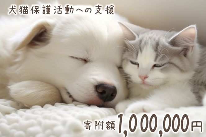 犬猫保護活動への支援 100万円分 [NPO法人セブンデイズ 福岡県 筑紫野市 21761494] 保護 動物 犬 猫 犬猫 保護犬 支援 応援 イヌ ネコ いぬ ねこ ペット動物愛護 愛護 保護活動