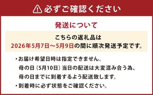 【先行予約】母の日にぴったりなカーネーションを中心にしたブーケ！ 花瓶付きタイプ 【2026年5月7日～9日までまで順次発送】 母の日 花 花瓶 ブーケ 花束 贈り物 ギフト