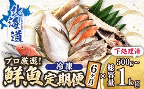 【定期便 6ケ月連続】 お魚の目利きのプロにお任せ！北海道産（国産） 天然 鮮魚 約500g～1kg（釧路の鮮魚セット） 産地直送 冷凍 冷凍便 刺身 セット 鮮魚セット 鮮魚ボックス 定期便 魚介類 海鮮 絶品 人気 ヒロセ 北海道 釧路町 釧路超 特産品　121-1262-142-016