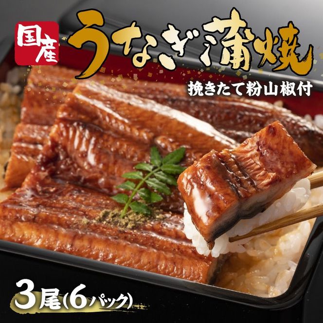 鰻の蒲焼き3尾（6パック）たれ別・挽きたて粉山椒付【2403D05601】