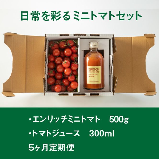 『定期便：全5回』エンリッチミニトマトセット【28001AB0501】