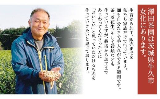 牛久市産 素煎り 落花生 （ むき実 ）180g × 5袋 セット 計900g ピーナッツ ナッツ 殻なし 詰合せ 豆 無塩 塩分不使用 おつまみ おやつ お菓子 素焼き 殻なし マメ まめ 料理 お茶漬け 国産 小分け お取り寄せ グルメ 茨城県 [AX029us]