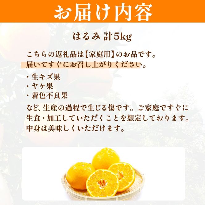 【先行予約】【家庭用】はるみ計5kg※離島への配送不可（2027年2月上旬頃より順次発送予定）IKTAC031