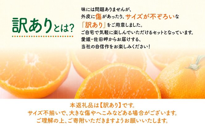 【先行予約】【訳あり】温州みかん 5kg（2026年11月上旬より順次発送）IKTF031