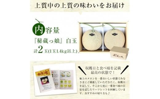 【春限定】極上メロン「秘蔵っ娘」白玉(青肉)2個 b5-037-s