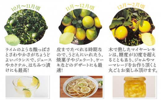 はぎファームの訳ありマイヤーレモン ３kg 【2026年10月～2027年1月下旬の期間で順次発送】 / レモン 国産 マイヤーレモン 数量限定 【hgf003A】
