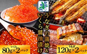 G1559 【五郎藤】国産 関西風 地焼き有頭旨鰻 120g×2尾＆いくら醤油漬け 80g×2パック