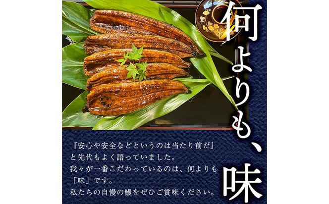 うなぎの柳澤 流水桜うなぎの蒲焼き 計5尾＜計600g＞  a9-040