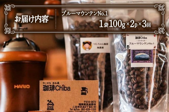 【3回定期便】 コーヒー豆 ブルーマウンテン 100g 2パック [珈琲Chiba 福岡県 筑紫野市 21761425] コーヒー 珈琲 豆 珈琲豆 セット ブルーマウンテンNo.1 ブルマン 豆のまま おいしい coffee bean beans 定期 定期便 3ヶ月 3回