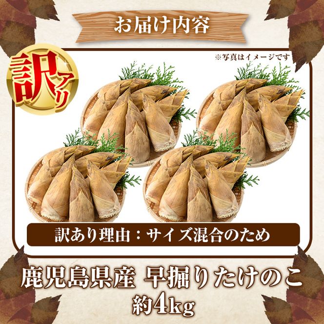 ＜先行予約受付中！2026年12月上旬以降順次発送予定＞訳あり！鹿児島県産 早掘りたけのこ(約4kg) 国産 野菜 たけのこ タケノコ 筍 旬 煮物 水煮 天ぷら つくだ煮【松永青果】akn053-35