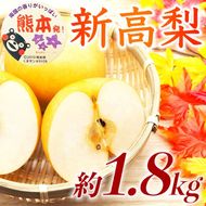 新高梨 約1.8kg（5～8玉）【梨 なし 果物 フルーツ デザート 食後 熊本県産】※配送不可：離島