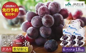 【2026年先行予約】数量限定 訳あり 豊岡ぶどう「ピオーネ」 約300g×6パック ／ ぴおーね ブドウ 葡萄 訳ありぶどう 大粒 強い甘み 爽やかな酸味 新鮮 果物 産地直送 くだもの フルーツ 上品 香り