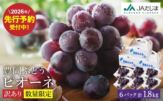 【2026年先行予約】数量限定 訳あり 豊岡ぶどう「ピオーネ」 約300g×6パック ／ ぴおーね ブドウ 葡萄 訳ありぶどう 大粒 強い甘み 爽やかな酸味 新鮮 果物 産地直送 くだもの フルーツ 上品 香り
