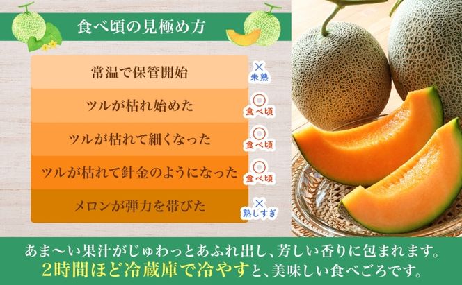 【2026年夏発送】北海道 赤肉メロン 北の女王 青肉メロン 月雫 秀品 約1.6kg 各2玉 令和8年 メロン 果物 フルーツ 旬 希少 甘い 豊潤 国産 ご褒美 産地直送 ギフト お祝い 贈答品 贈り物 お中元 常温 お取り寄せ
