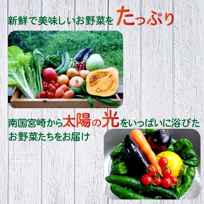 【定期便 全3回】季節の野菜詰め合わせセット（新鮮 採れたて 野菜 セット 定期便 詰め合わせ 宮崎県）