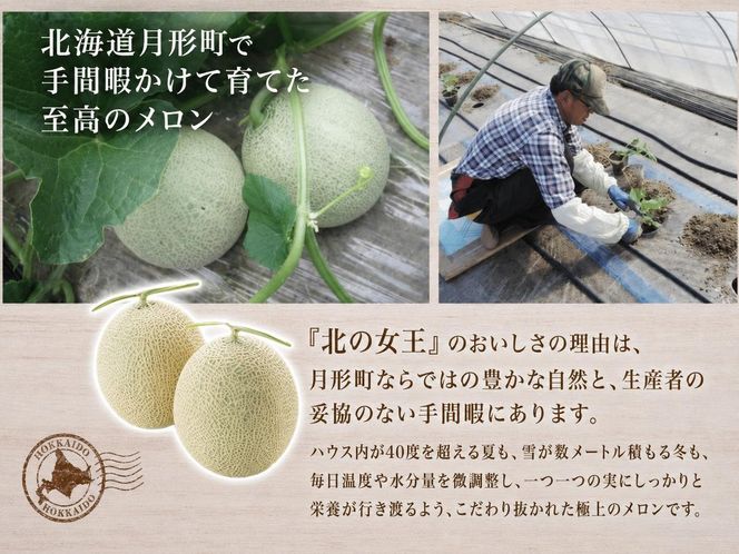 〈先行受付〉【2027年夏発送】北海道 赤肉メロン 北の女王 優品 7～8玉 計約8kg 令和9年 メロン 果物 フルーツ 旬 季節 希少 甘い 豊潤 国産 北海道産 デザート ご褒美 産地直送 産直 ギフト お祝い 贈答品 贈り物