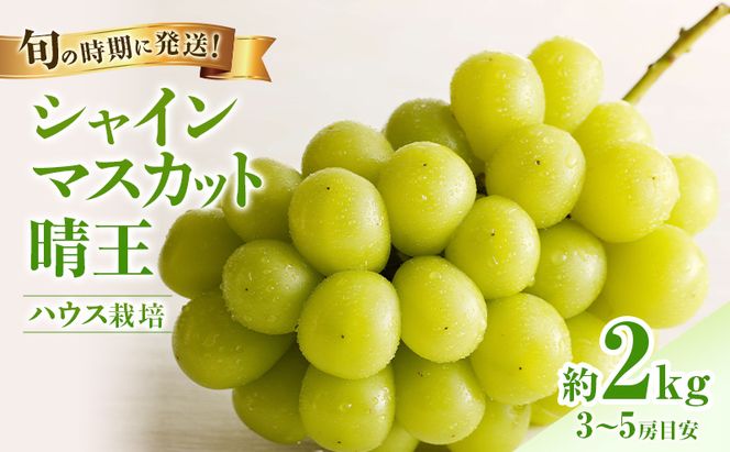 【2027年先行受付】 シャインマスカット 晴王 ハウス栽培 約2kg(3～5房目安) 岡山県産 ぶどう 葡萄 ブドウ 御中元 ギフト 御礼 プレゼント 御礼 御祝 御供 果物 くだもの フルーツ