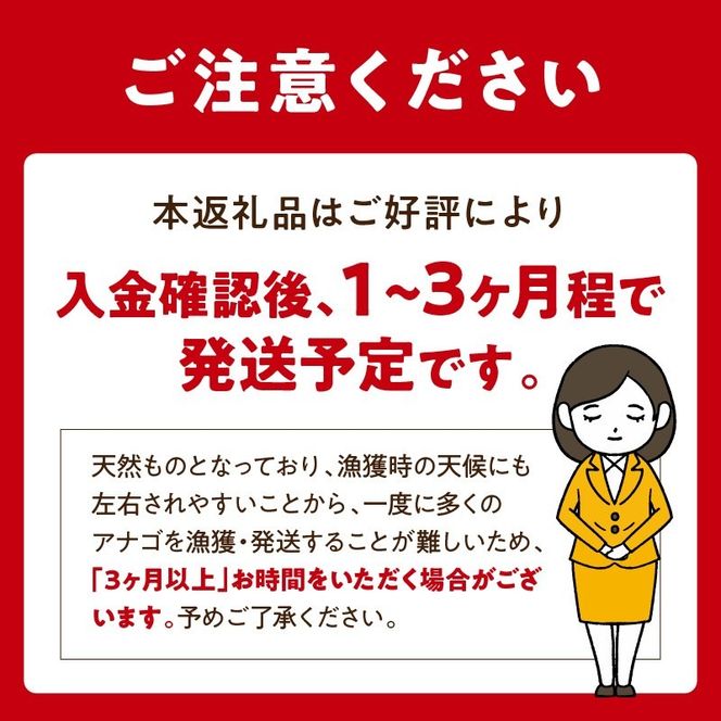焼あなご(3～5串)《魚介類 アナゴ 穴子 あなご 焼きあなご 海鮮 天然 ふるさと納税 あなご 加古川市 パリパリ 美味しい 穴子丼 串焼き お取り寄せ 人気 ギフト プレゼント おすすめ 》【2403D00702】
