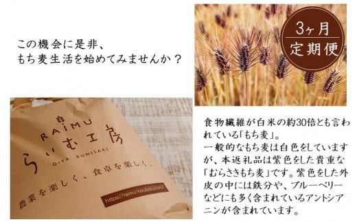 食物繊維を定期的に！お米5kgとむらさきもち麦3ヶ月定期便/計3回発送_2103R