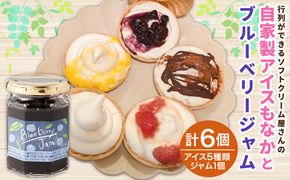 ＜自家製アイスクリームとブルーベリージャムのセット＞2か月以内に順次出荷【c593_sn_x3】 アイス ジャム セット ブルーベリー