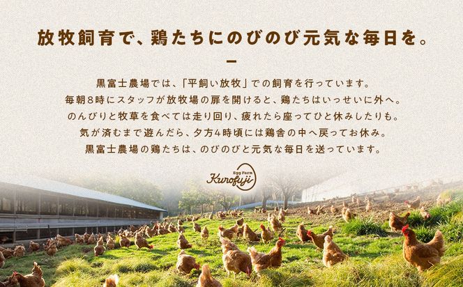 黒富士農場の卵食べ比べセット 18個　人気　おすすめ　国産　贈答　ギフト　お取り寄せ　卵　たまご　タマゴ　玉子　鶏卵　自然卵　放牧卵　平飼い　新鮮　たまごかけご飯　B-27