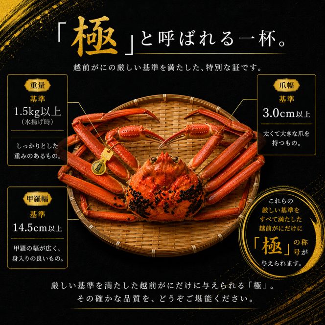茹で越前ガニ 極！【期間限定】食通もうなる本場の味をぜひ、ご堪能ください。約1.5kg以上（極）越前がに 越前かに 越前カニ カニ ボイルガニ ずわい蟹 ずわいガニ ズワイガニ 蟹 
