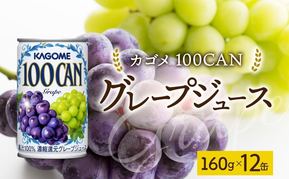 ns038-047 100CANグレープ160g×12