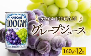 ns038-047　１００ＣＡＮグレープ160g×12