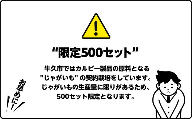 【最短3営業日！スピード発送】 カルビー ポテトチップス BIGBAG 157g コンソメパンチ 1ケース ( 12袋 ) ポテチ お菓子 おかし 大量 スナック おつまみ ジャガイモ じゃがいも まとめ買い 数量限定